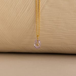 North Star Birthstone Signet Necklace