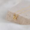 Mellow Dainty Initial Necklace
