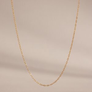 Dainty Paperclip Necklace