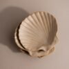 Venus Shell Jewelry Dish