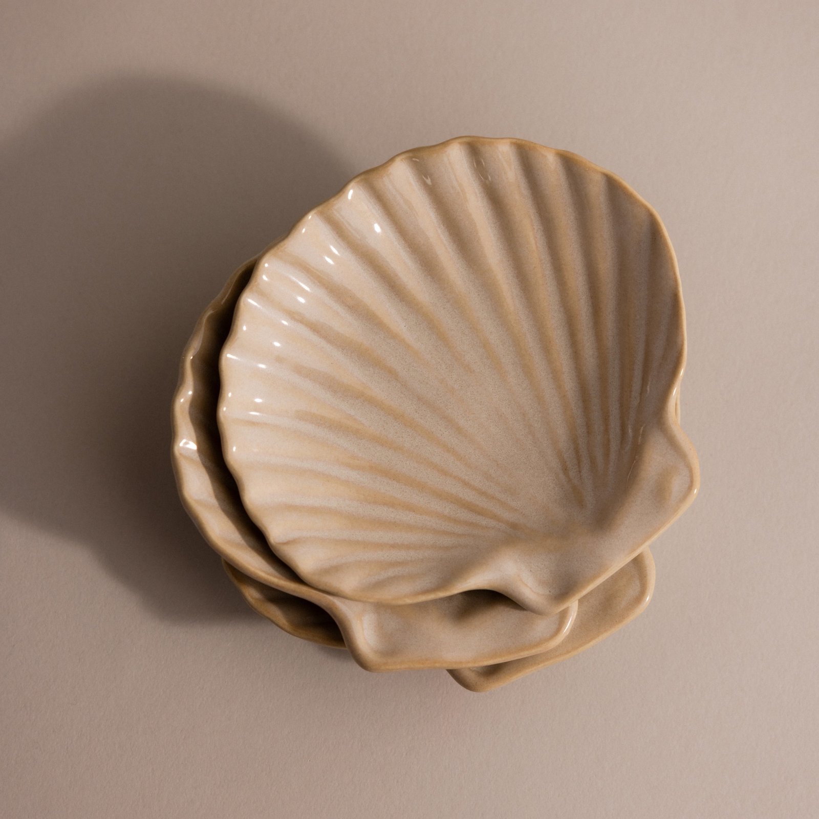 Venus Shell Jewelry Dish