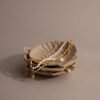 Venus Shell Jewelry Dish
