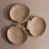 Venus Shell Jewelry Dish