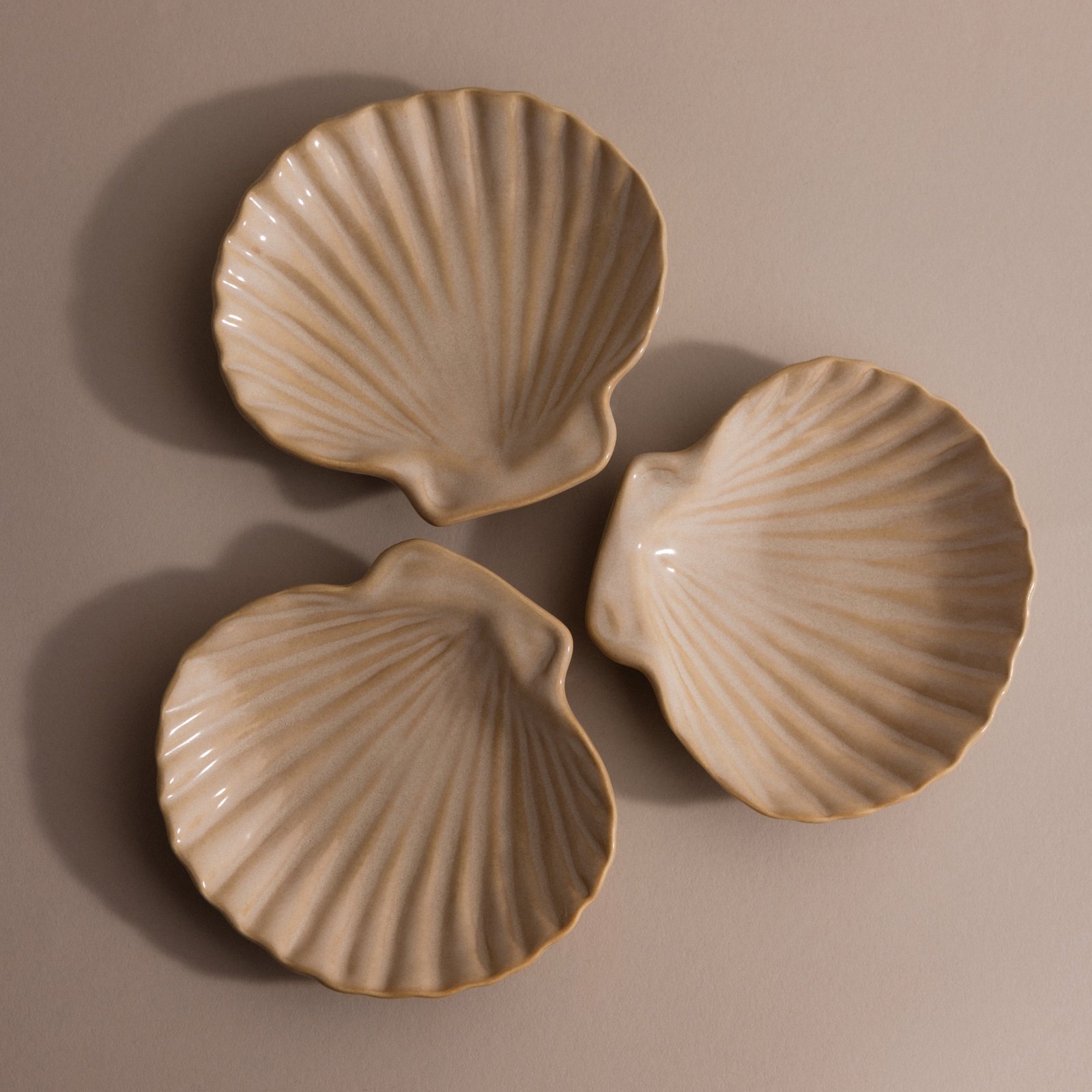 Venus Shell Jewelry Dish