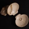 Venus Shell Jewelry Dish